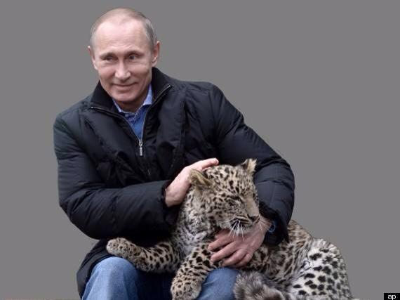 Putin heyvanlarla – ilk dəfə yayımlanan maraqlı fotolar