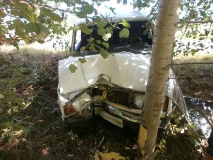 Avtomobil ağaca çırpıldı