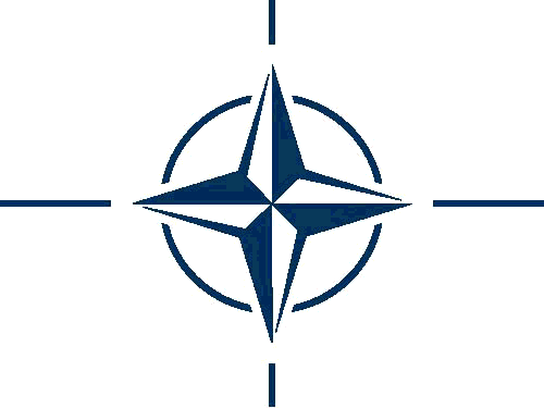 NATO Gürcüstanda təlim bazası yaradır