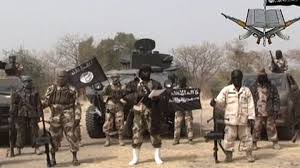 “Boko Haram” silahlıları Kamerun kəndinə hücum edib