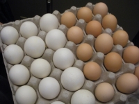 160 yumurtanı 40 dəqiqəyə yedi