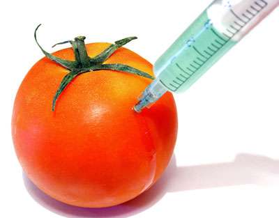Fransa GMO meyvə və tərəvəzlərdən imtina edir