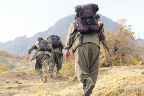 PKK terrorçuları qatıq oğurluğuna başladılar