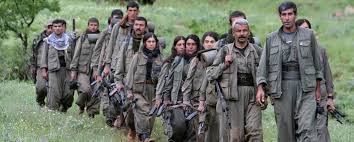 İki əməliyyatda 100-ə yaxın PKK terrorçusu öldürülüb