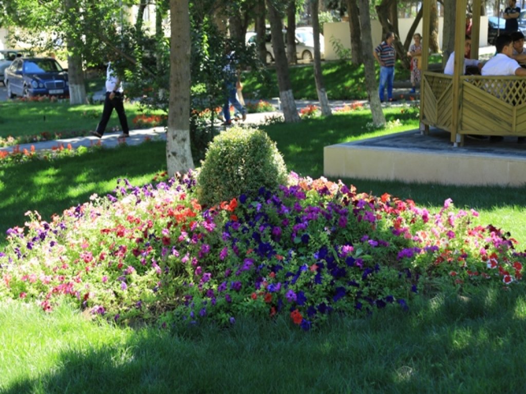 Milli Qəhrəmanın adını daşıyan küçədə yerləşən park istifadəyə verildi