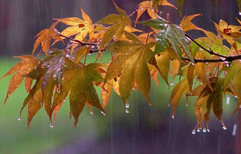 Hava proqnozu açıqlandı – İntensiv yağış, şimşək, külək