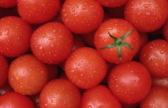 16 ton Azərbaycan pomidoru Rusiyaya buraxılmadı