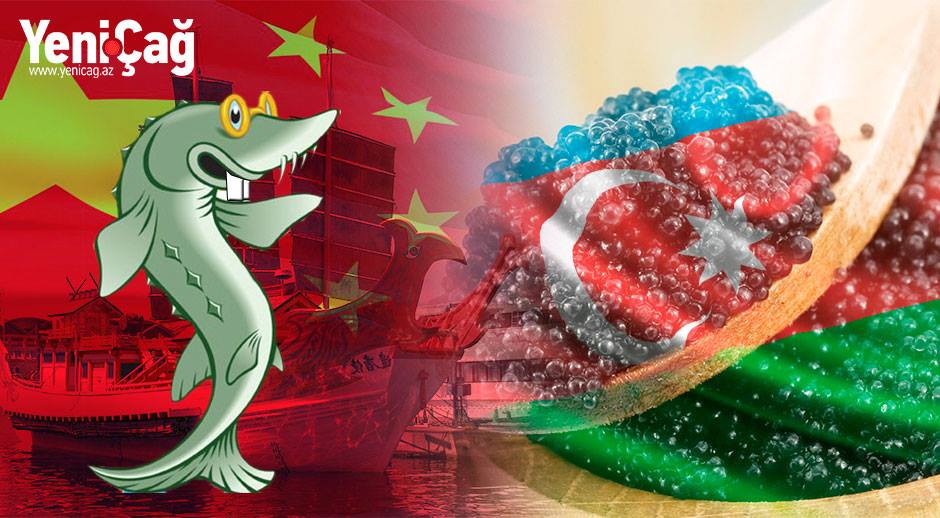 Çinlilərin kanalizasiyası və Azərbaycan bazarında nərə balığı monopoliyası