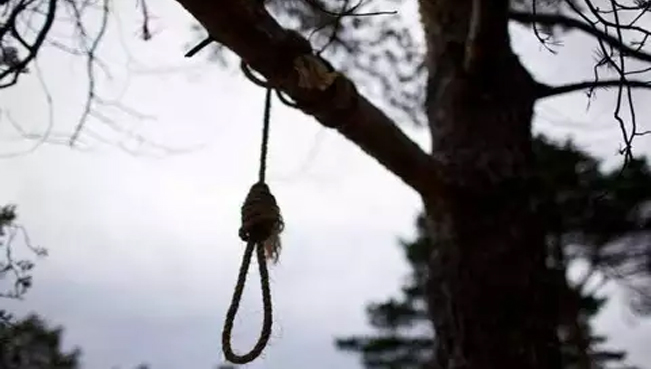 Bakıda intihar – Özünü tut ağacından asdı