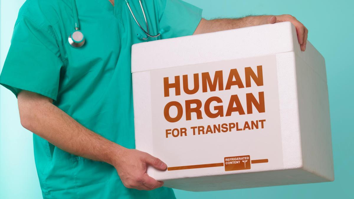 Canlı donordan transplantasiya məqsədilə hansı orqanlar götürüləcək?