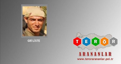Türkiyə ordusundan uğurlu əməliyyat: Başına 300 min TL qoyulan terrorist öldürüldü