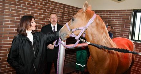 İlham Əliyev Qarabağ atlarına baxış keçirdi – FOTOLAR