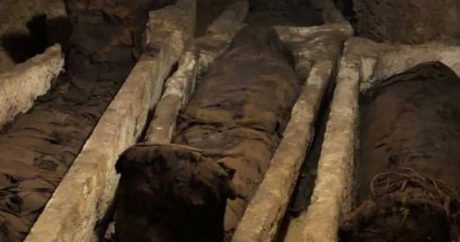 Misirdə 40 mumiya aşkarlandı