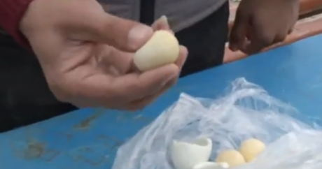 Bakıda ŞOK: Yumurta, yoxsa plastik top? – VİDEO
