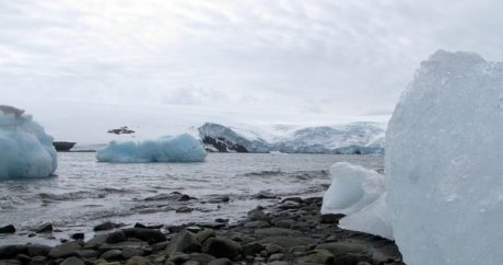 Dünyanın Arktika problemi: Buzlar sürətlə əriyir