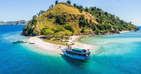 İndoneziya Komodo adasını turistlər üçün bağlayır – SƏBƏB