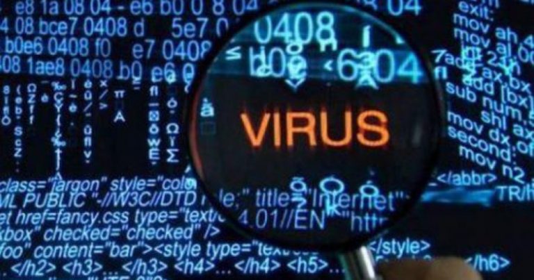 Orqanizmə ziyan vuran kompüter virusu yaradıldı