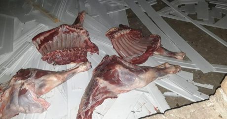 Satış üçün hazırlanan 82 kq ölmüş heyvan əti aşkarlandı – FOTO