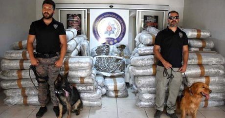 Türkiyədə narkotik şoku: 1,5 ton maddə müsadirə edildi – FOTO