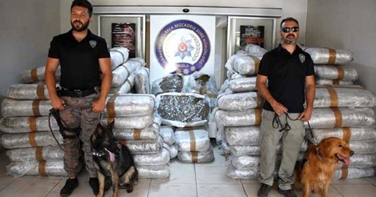 Türkiyədə narkotik şoku: 1,5 ton maddə müsadirə edildi – FOTO