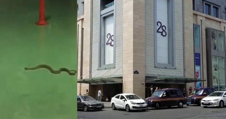 “28 Mall”da ilan vahiməsi: Ticarət Mərkəzi AMEA-nın iddiasını təkzib edir – VİDEO