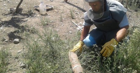 Füzulidə kənd ərazisində top mərmisi tapıldı – FOTO