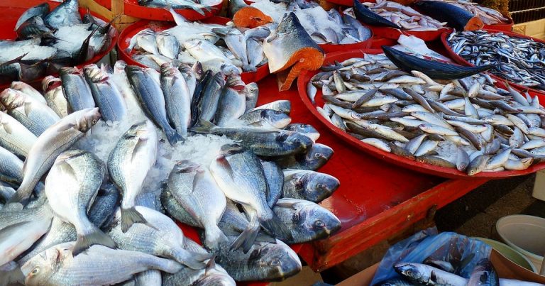 Neftçalada balıqçılıq müəssisəsi yaradıldı – 3 milyon manat kapitalla…