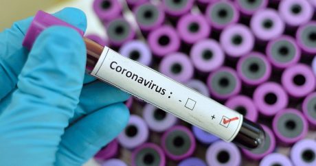 Yeni koronavirusun genomu oxundu – FOTO