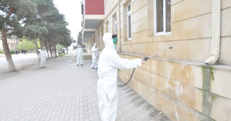 Sabirabadda dezinfeksiya işləri davam etdirilir – FOTOLAR