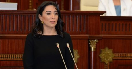 Milli Məclis Ombudsmanın illik məruzəsini qəbul etdi