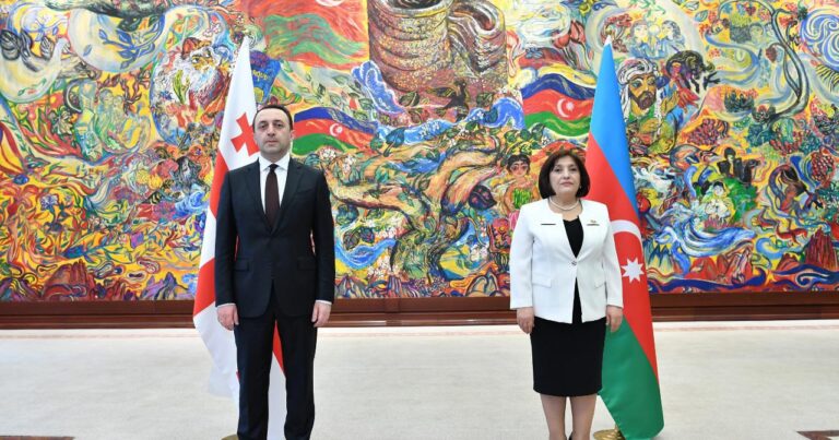 Sahibə Qafarova Gürcüstanın Baş naziri ilə görüşdü – Fotolar