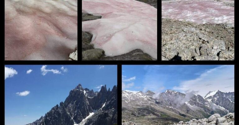 Alp dağlarına qırmızı qar yağdı – FOTOLAR