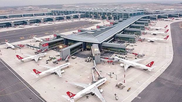 İstanbul hava limanına çəyirtkə sürüsü hücum etdi