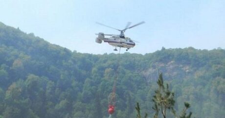 Lerikdə dağlıq ərazidə yanğın: Helikopter cəlb olundu