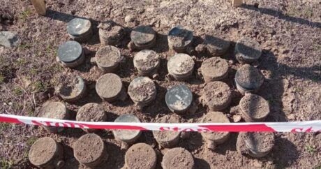 Azad edilən ərazilərdə aşkarlanan mina sayı açıqlandı