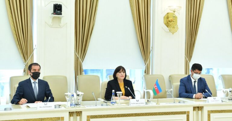 Sahibə Qafarova qazaxıstanlı parlamentarilərlə görüşdü – FOTO