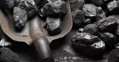 Göyçayda qanunsuz kömür quyuları aşkarlandı