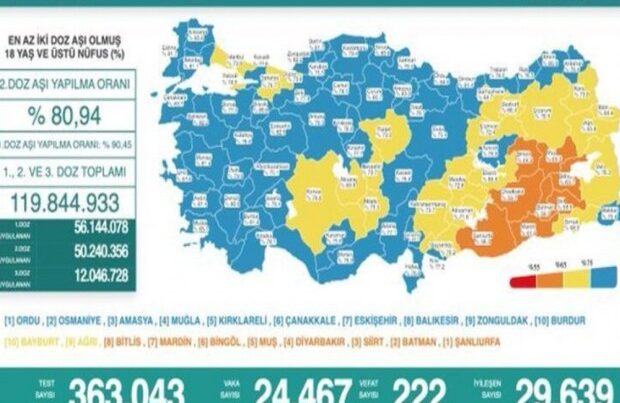 Türkiyədə daha 222 koronavirus xəstəsi vəfat etdi