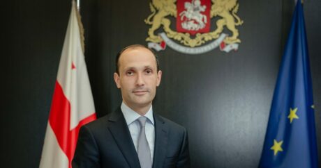 Nazir: “Gürcüstan Ukraynadan qaçqın qəbuluna hazırdır”