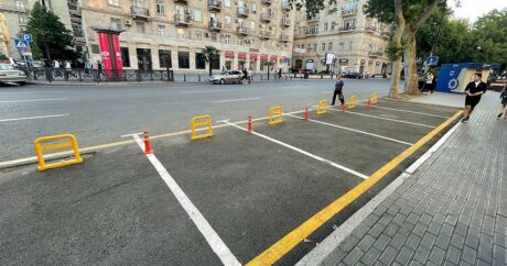 Qanunsuz parklanma yerində yenidən ağac əkildi – FOTO