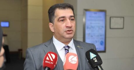 Zaur Mirzə-zadə azadlığa buraxıldı