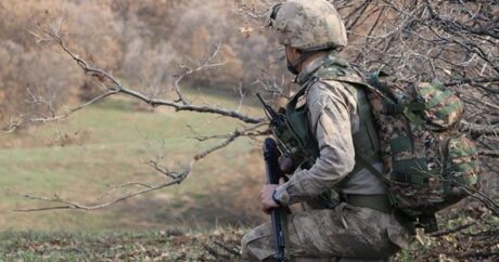 Türkiyə ordusu 289 terrorçu zərərsizləşdirdi