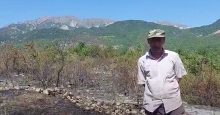 İsmayıllı sakini qəsdən yanğın törətdi: 3 hektar ərazi yandı – VİDEO