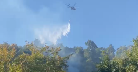 Masallıda meşə yanğını: 2 helikopter cəlb edildi – VİDEO
