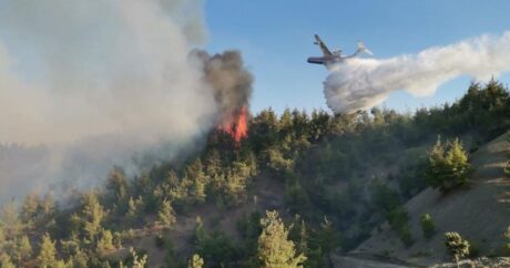 İzmirdə meşə yanğını başladı – Helikopter cəlb edildi