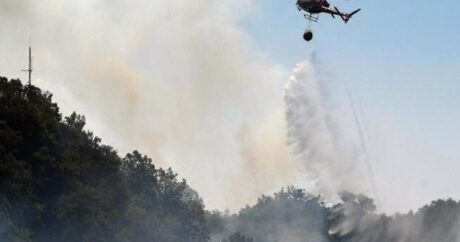 Zaqatalada yanğınların söndürülməsinə 3 helikopter cəlb edildi – VİDEO