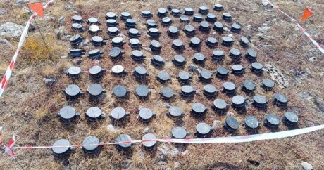 ANAMA: “Azad edilmiş ərazilərdə 56 573 hektar yer minalardan təmizləndi”