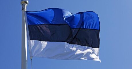 Estoniya Rusiyanı “terrorçu dövlət” elan etdi