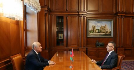 Baş nazir Türkiyənin Vitse-prezidenti ilə görüşdü – FOTO