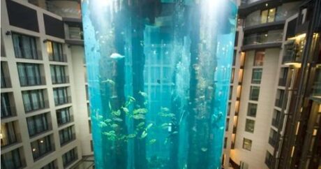 Berlinin mərkəzində hoteldə 16 metrlik akvarium parçalandı – FOTO/VİDEO